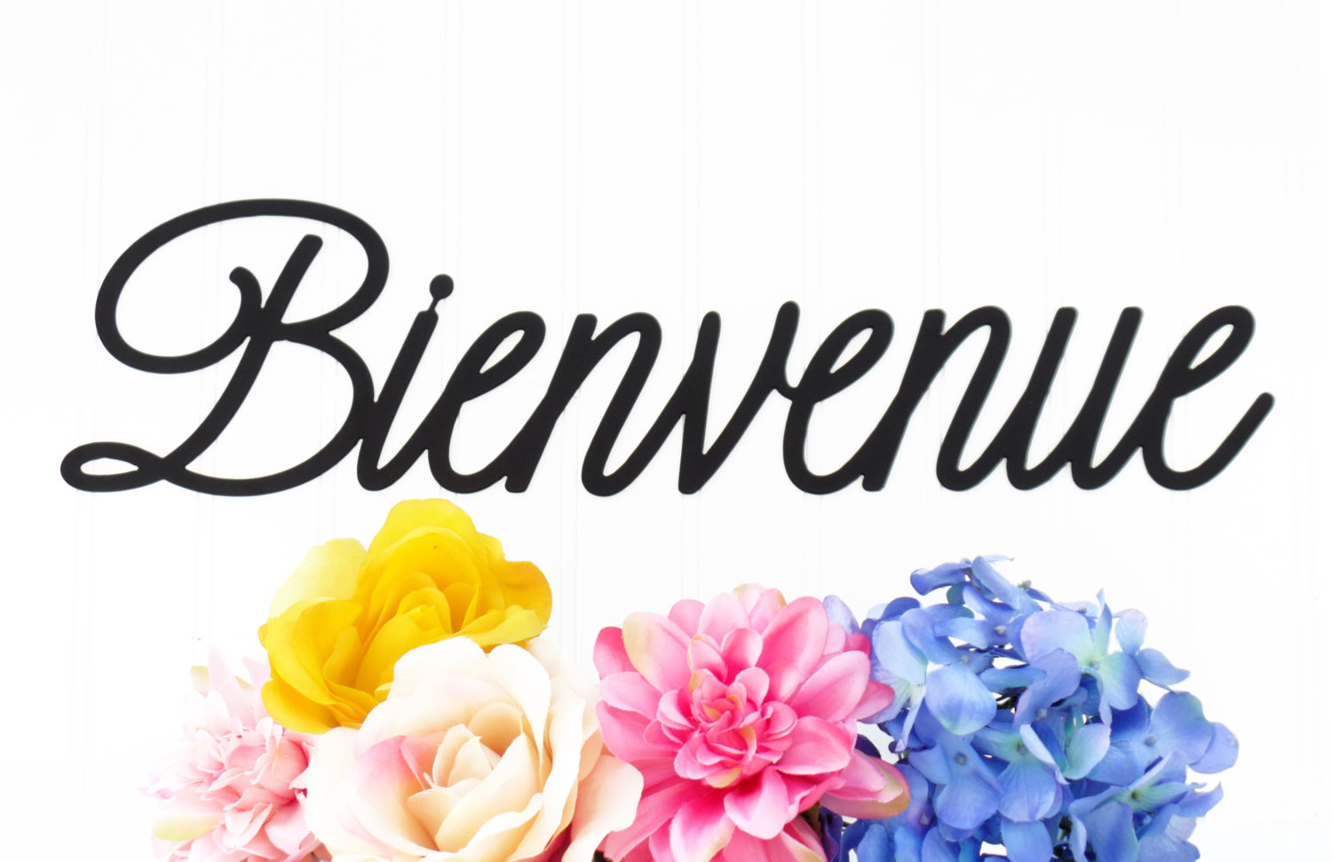 Bienvenue aux nouveaux arrivants ! - Saint Paul